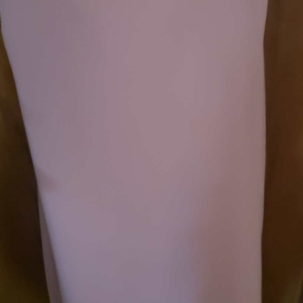Brand NWT David's Bridal Bridesmaids dress